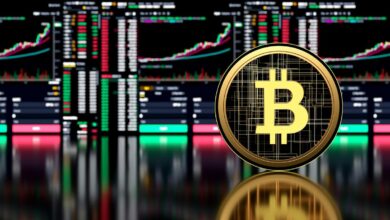 Crypto Para