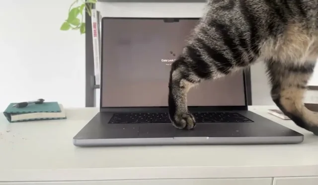 cats-lock-kedilerin-klavye-mudahalesine-akilli-cozum-tvemJSeE.webp