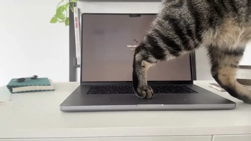 Cats Lock: Kedilerin Klavye Müdahalesine Akıllı Çözüm