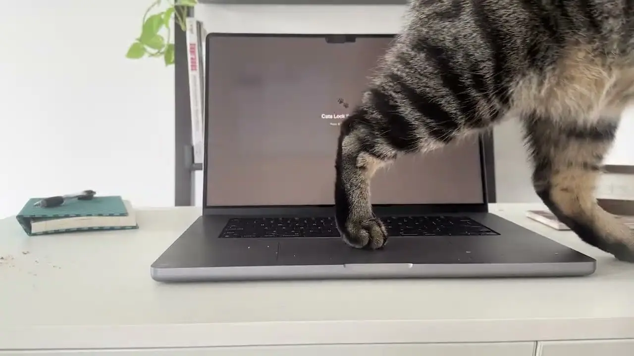 Cats Lock: Kedilerin Klavye Müdahalesine Akıllı Çözüm