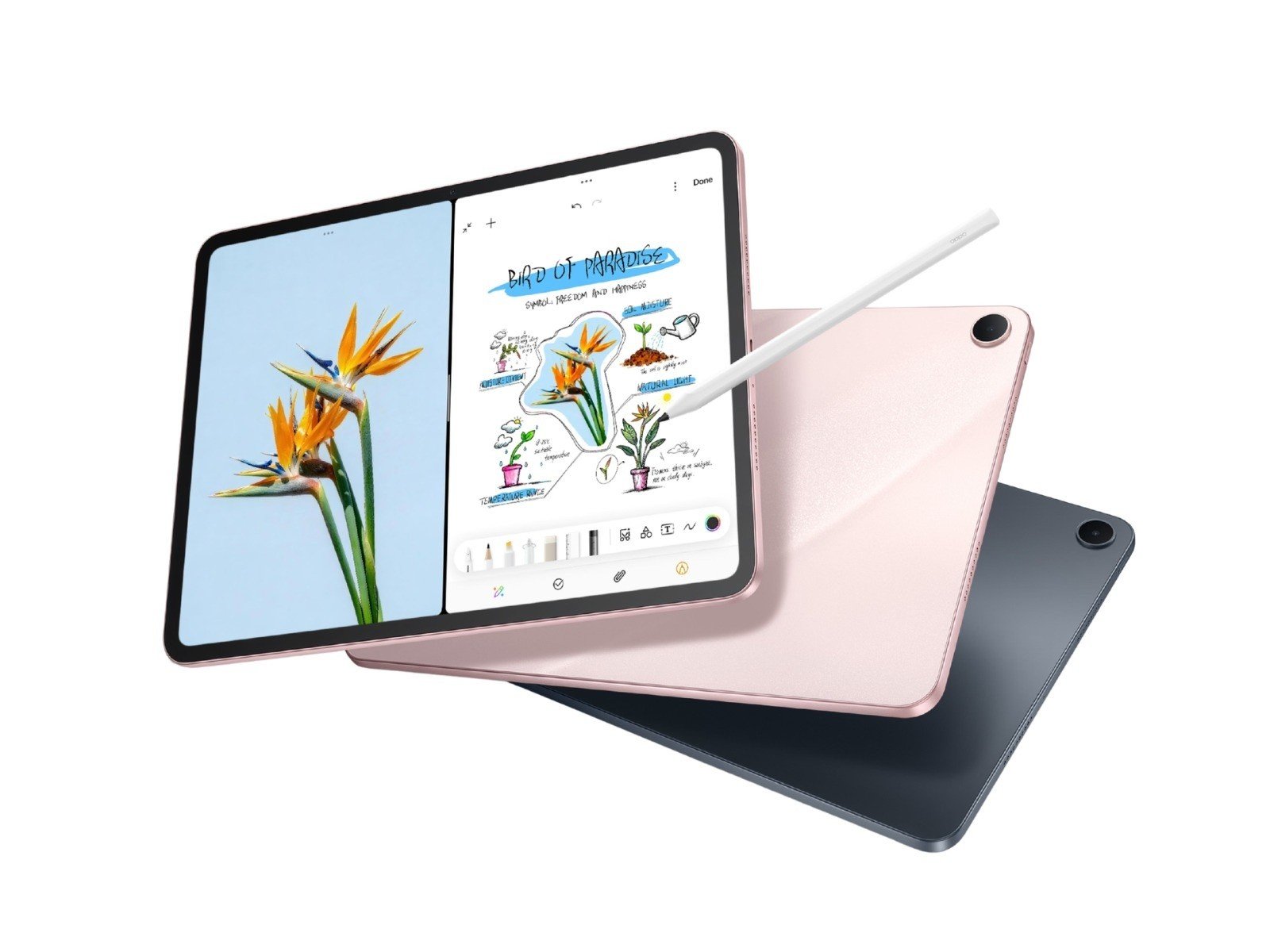 OnePlus OLED Tablet: Küçük Ekranda Büyük Yeni Bir Oyuncu
