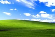milyonlarin windows ekrani olan o meshur manzara artik yok BjZrhil1